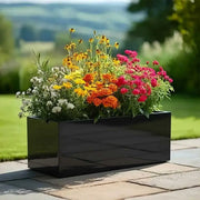 75cm Zinc Galvanised Polished Black Trough Planter